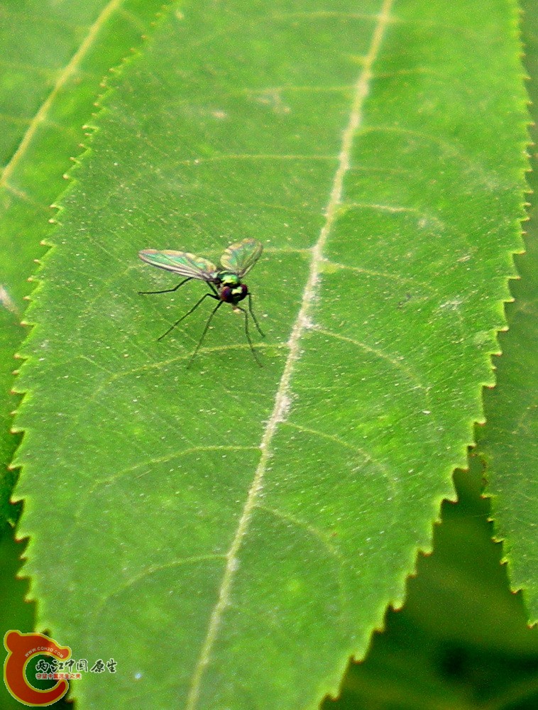 DSCN3996.JPG DSCN3996.JPG