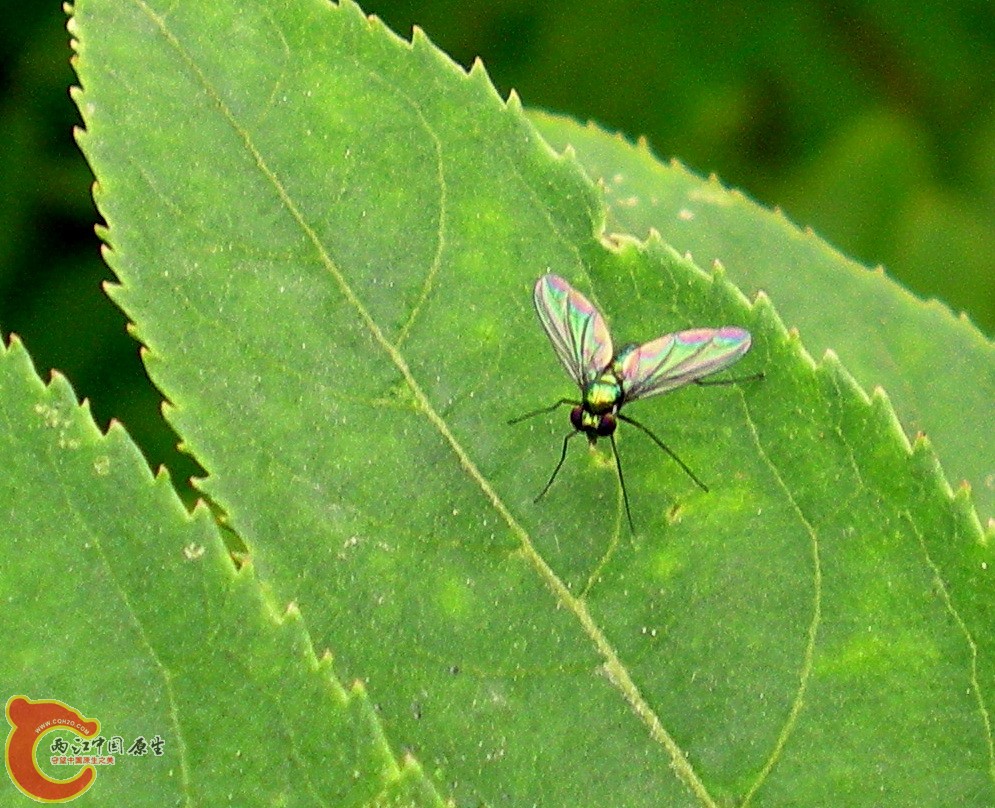 DSCN3998.JPG DSCN3998.JPG