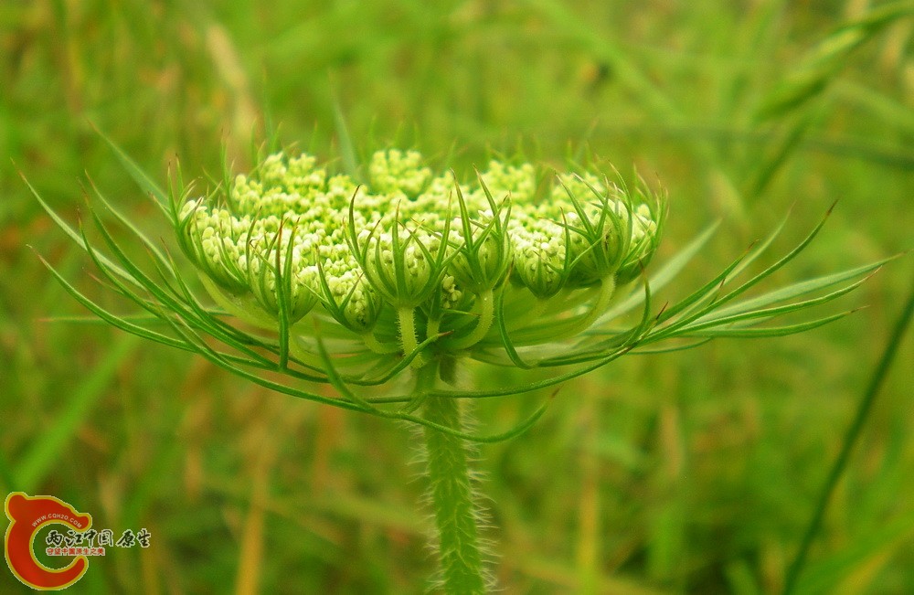 DSCN4005.JPG DSCN4005.JPG