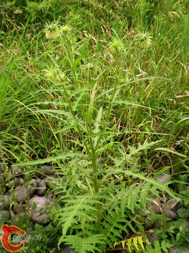 DSCN4025.JPG DSCN4025.JPG