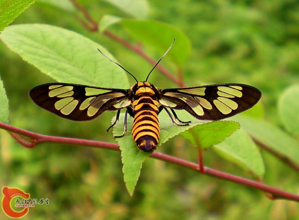 DSCN4027.JPG DSCN4027.JPG