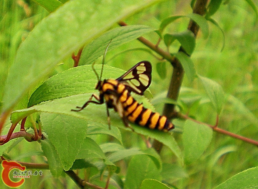 DSCN4031.JPG DSCN4031.JPG