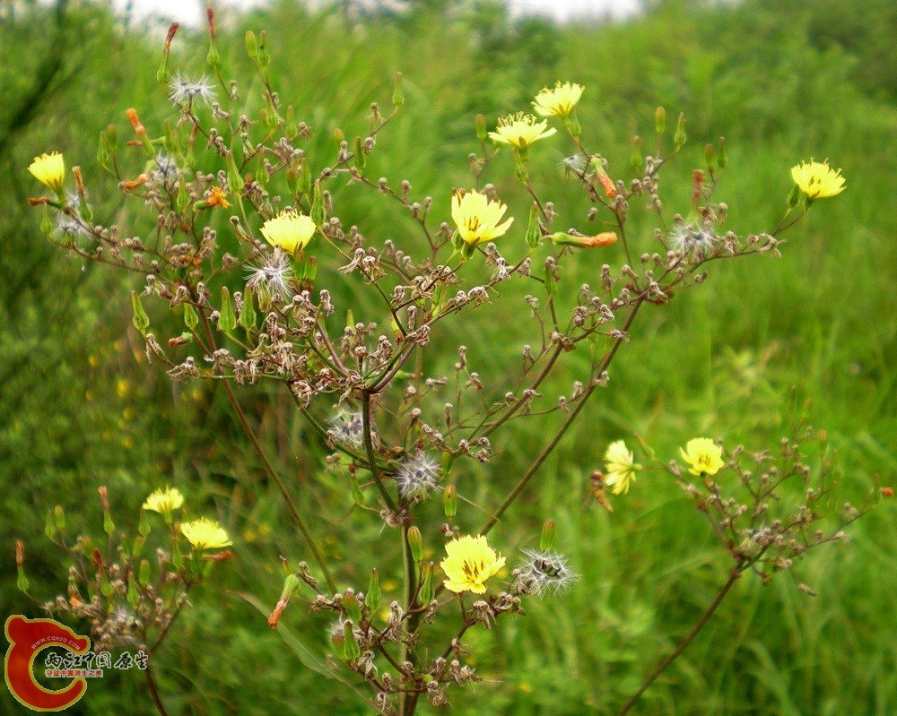 DSCN4034.JPG DSCN4034.JPG