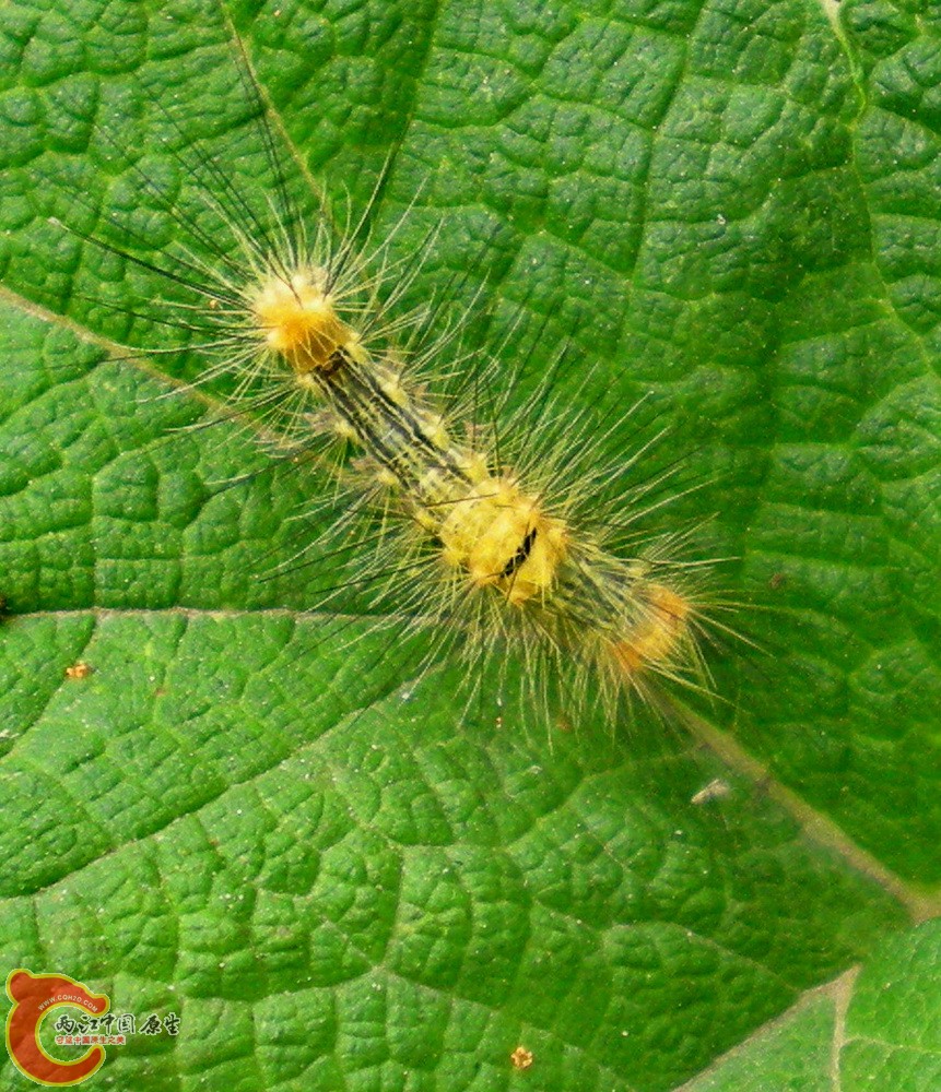 DSCN4040.JPG DSCN4040.JPG