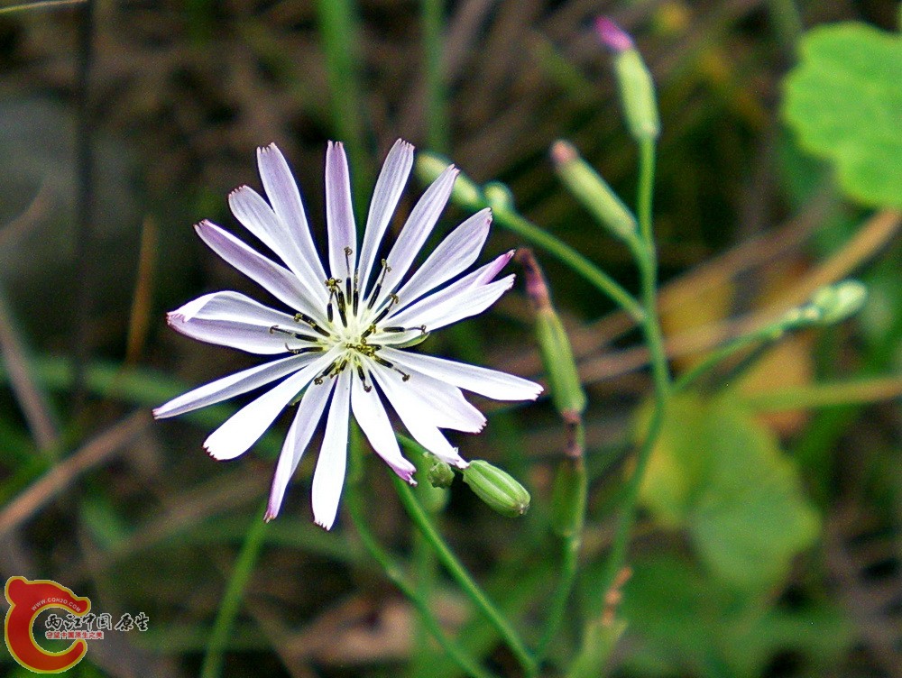 DSCN4049.JPG DSCN4049.JPG