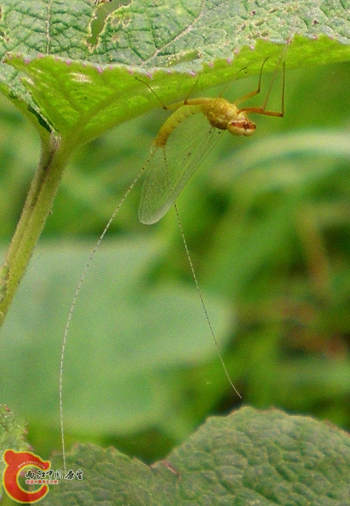 DSCN4044.JPG DSCN4044.JPG