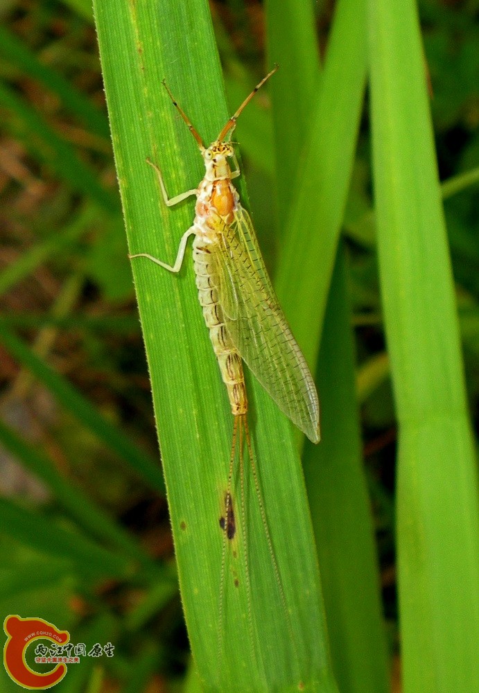 DSCN4063.JPG DSCN4063.JPG