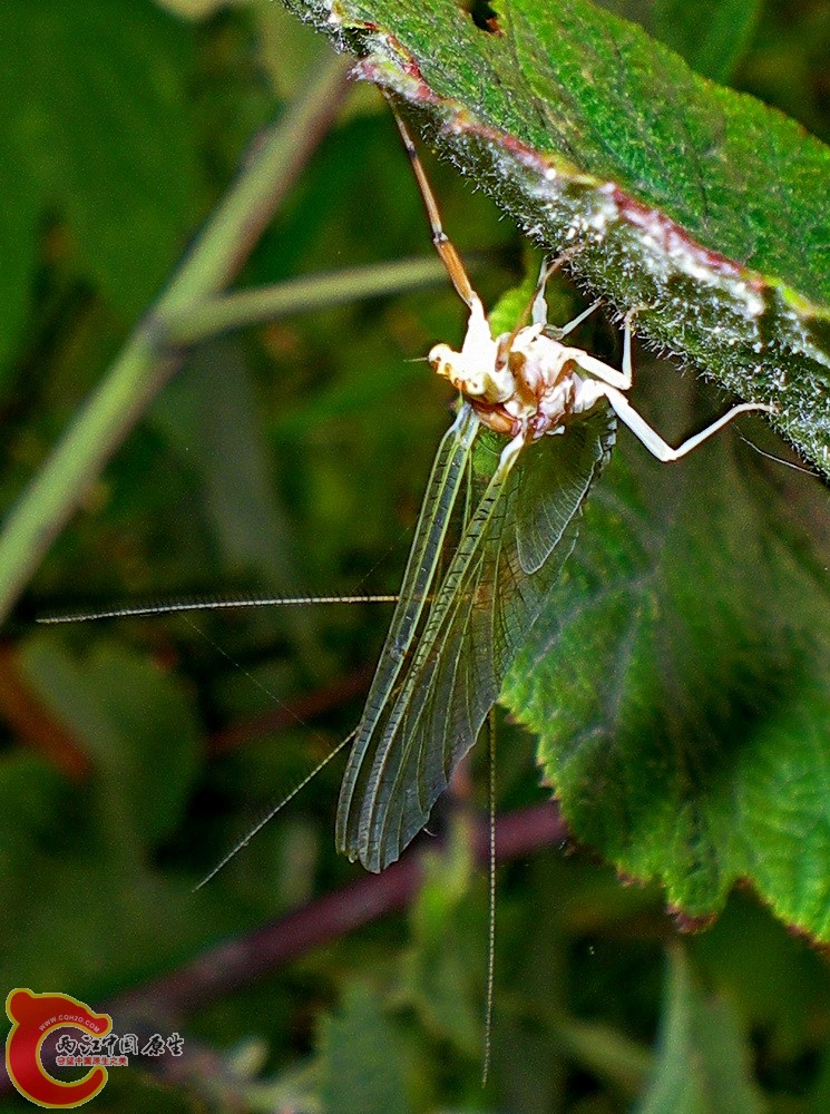 DSCN4064.JPG DSCN4064.JPG