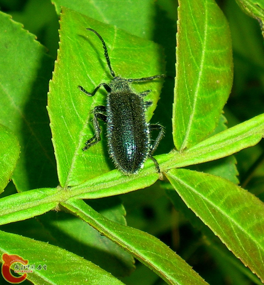 DSCN4076.JPG DSCN4076.JPG