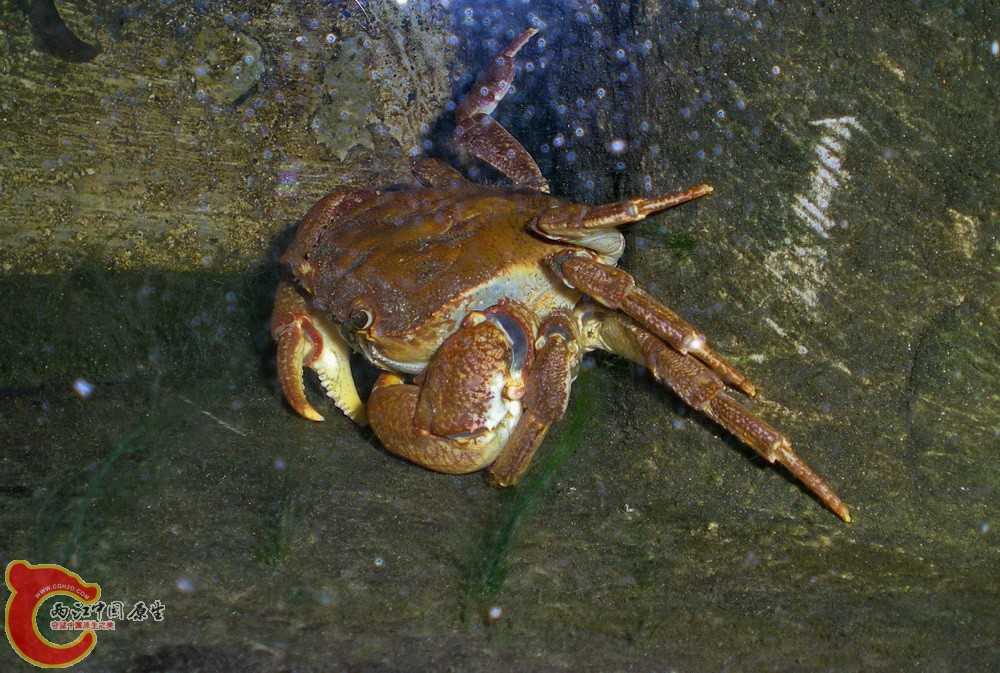 DSCN4087.JPG DSCN4087.JPG