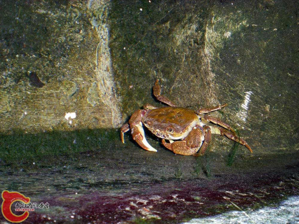 DSCN4088.JPG DSCN4088.JPG