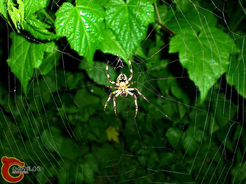 DSCN4092.JPG DSCN4092.JPG