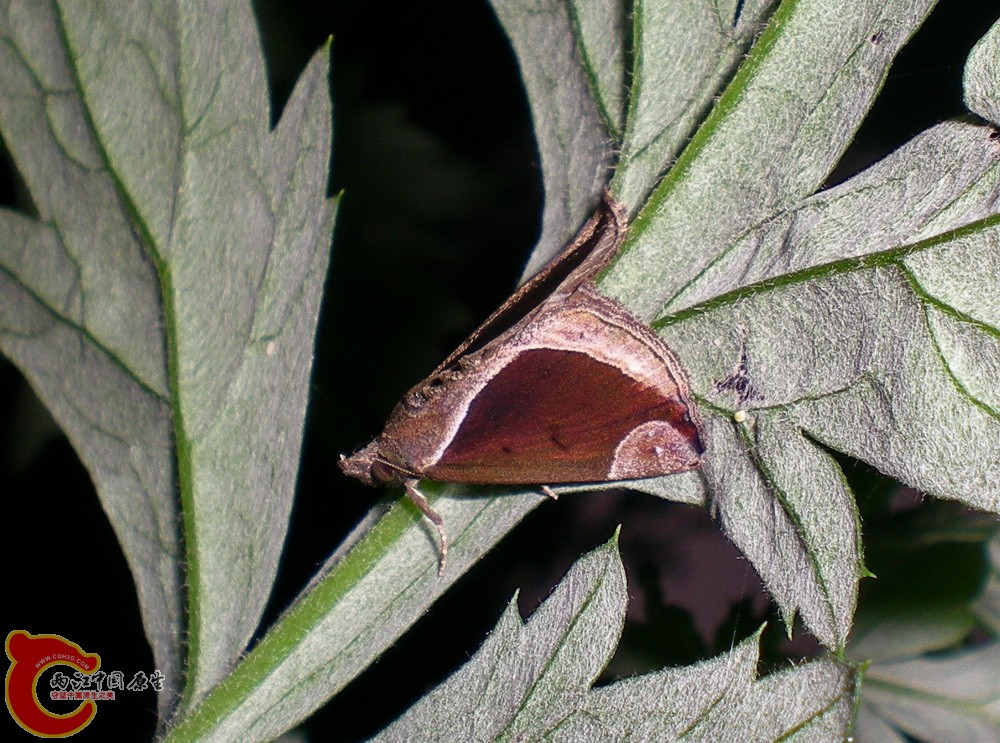 DSCN4095.JPG DSCN4095.JPG