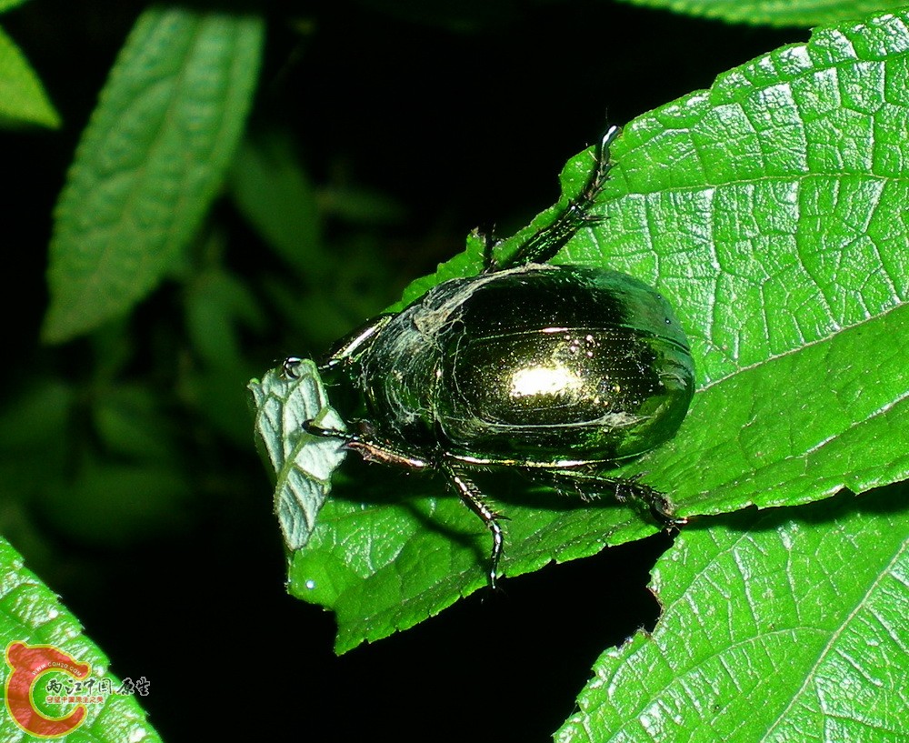 DSCN4096.JPG DSCN4096.JPG