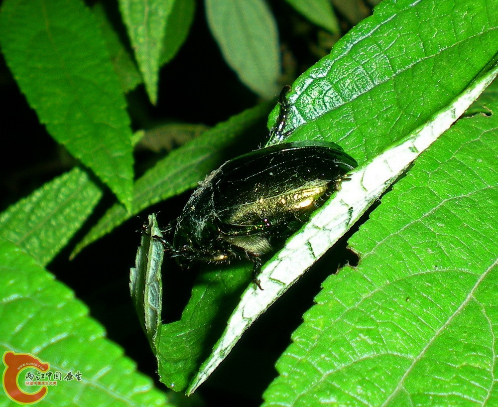 DSCN4097.JPG DSCN4097.JPG