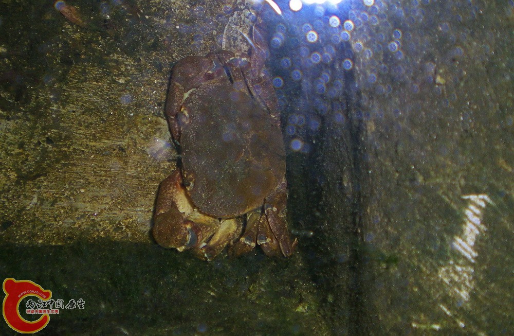 DSCN3939.JPG DSCN3939.JPG