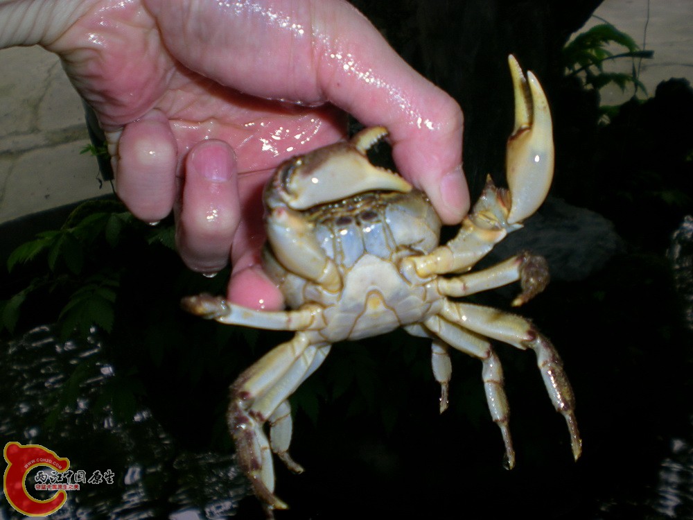 DSCN3940.JPG DSCN3940.JPG