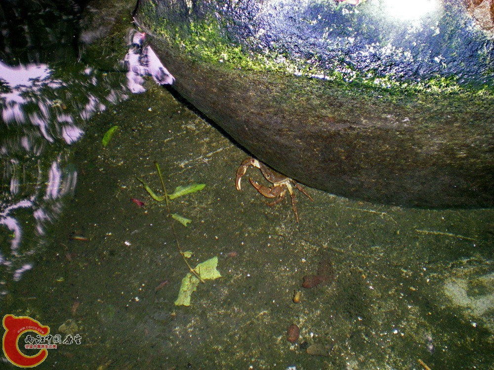 DSCN3941.JPG DSCN3941.JPG