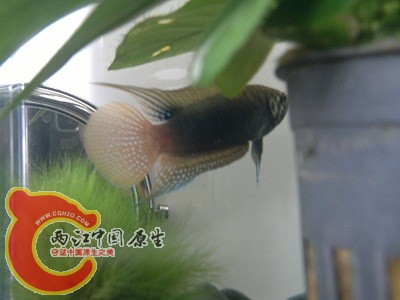 2012-05-23-179.jpg