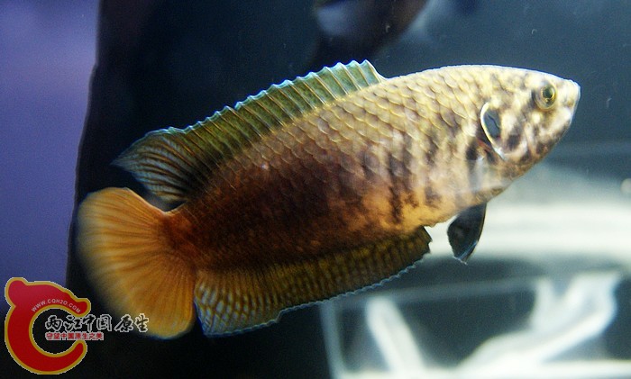 08.jpg