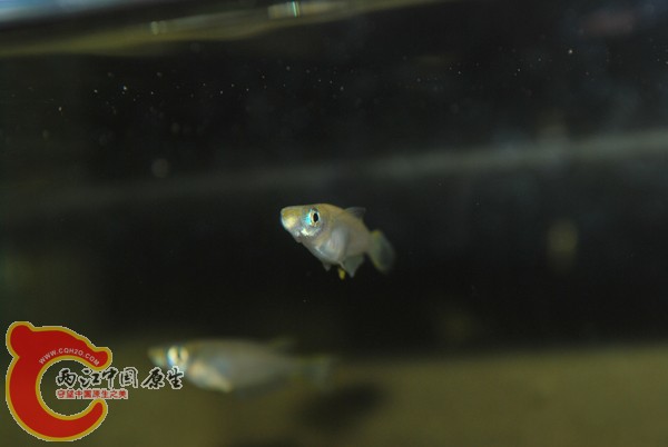 DSC_0542=.jpg