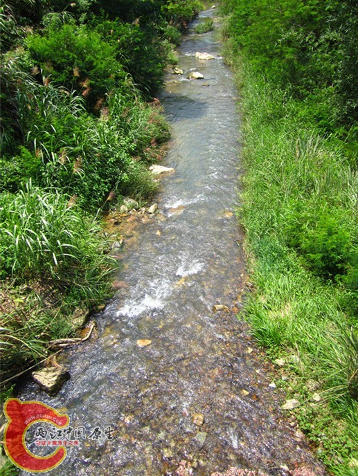05.jpg