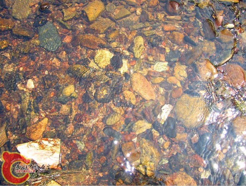 04.jpg