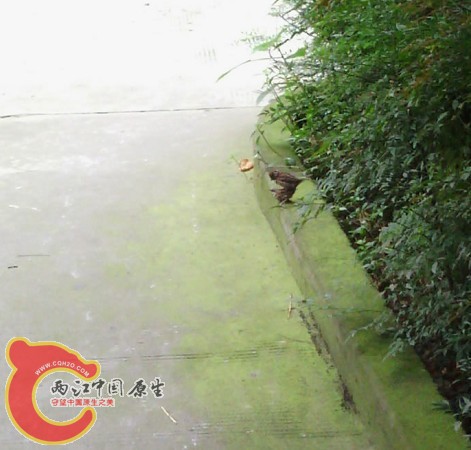 未命名.jpg