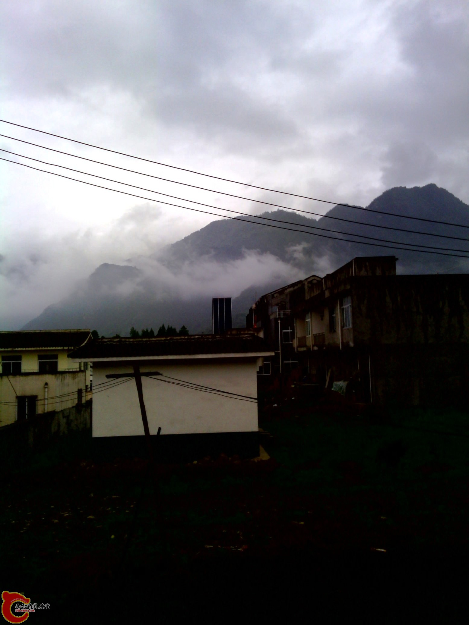 IMG_20120524_114100.jpg