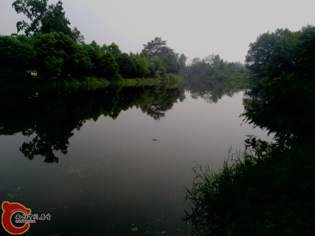 IMG_20120526_114437.jpg