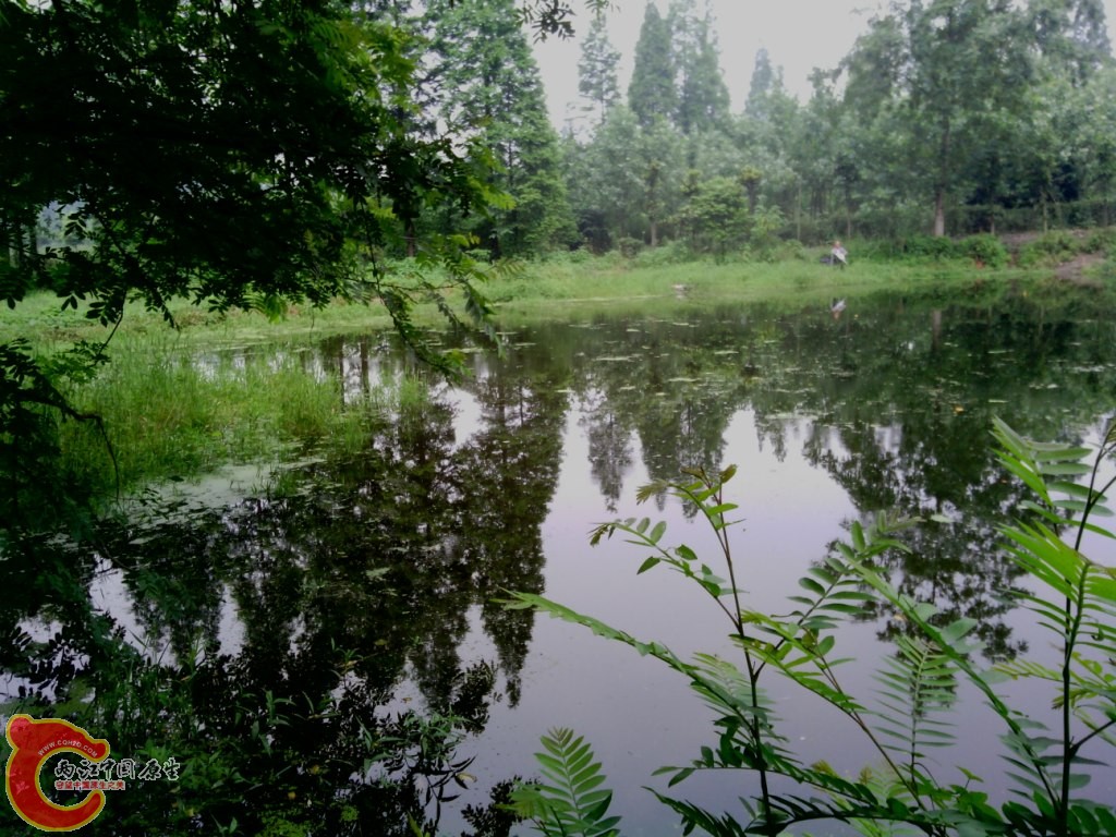 IMG_20120526_114455.jpg