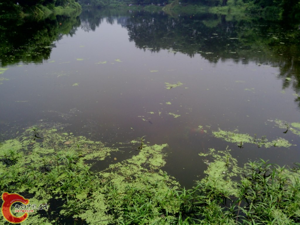 IMG_20120526_115840.jpg