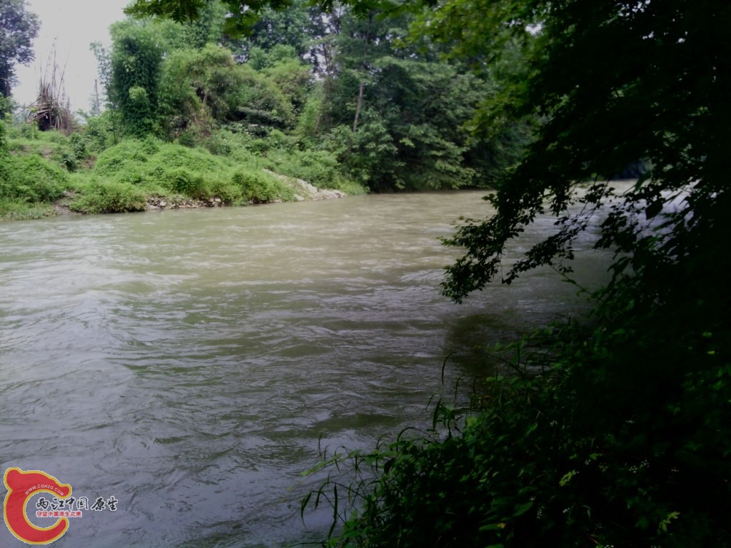 IMG_20120526_121511.jpg