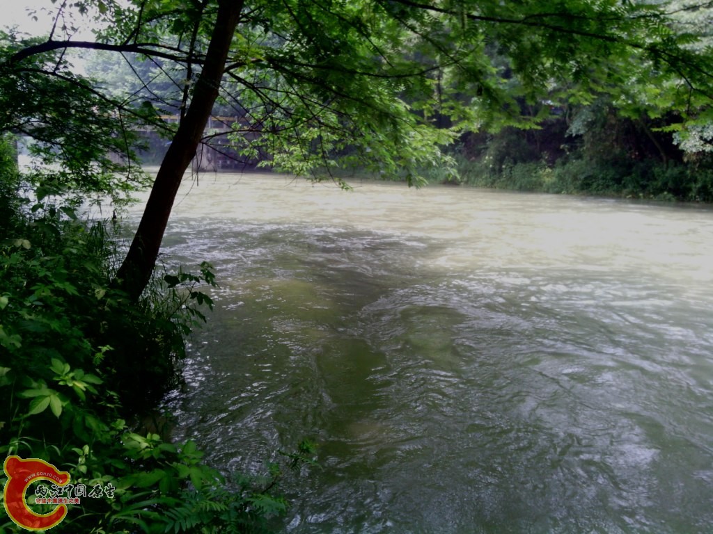 IMG_20120526_121518.jpg