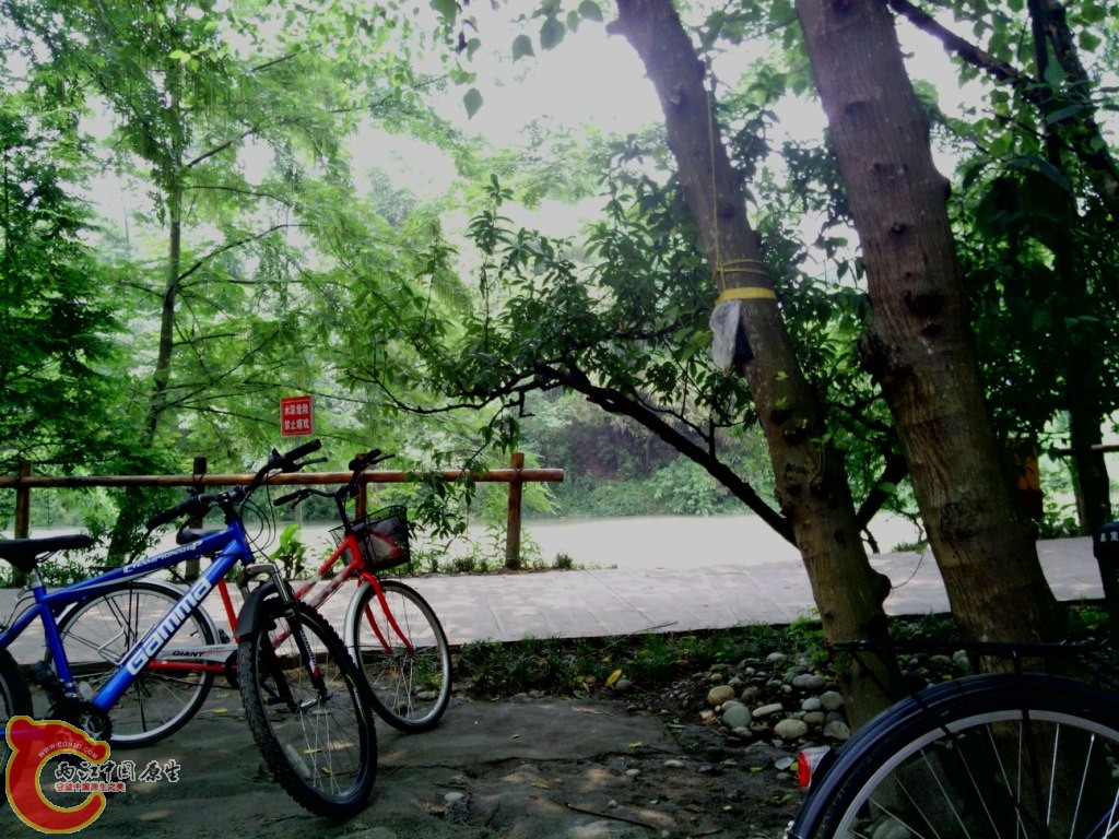 IMG_20120526_122229.jpg