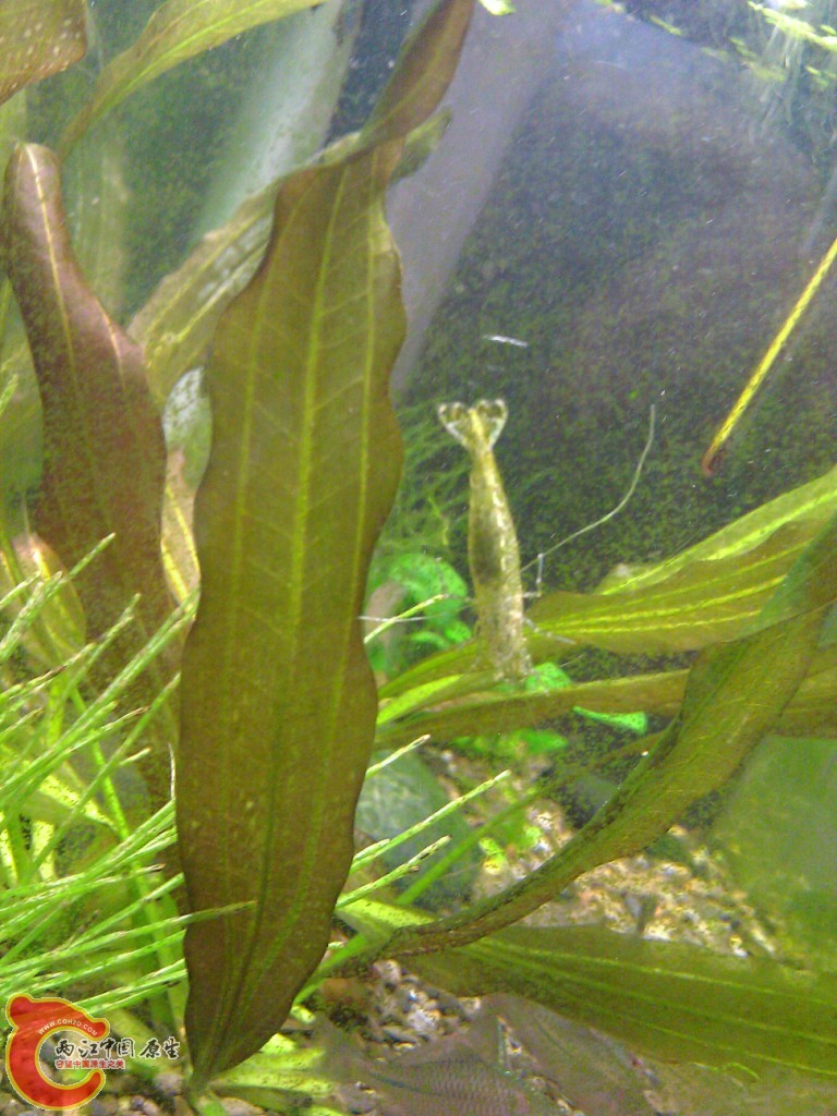 WP_000075.jpg