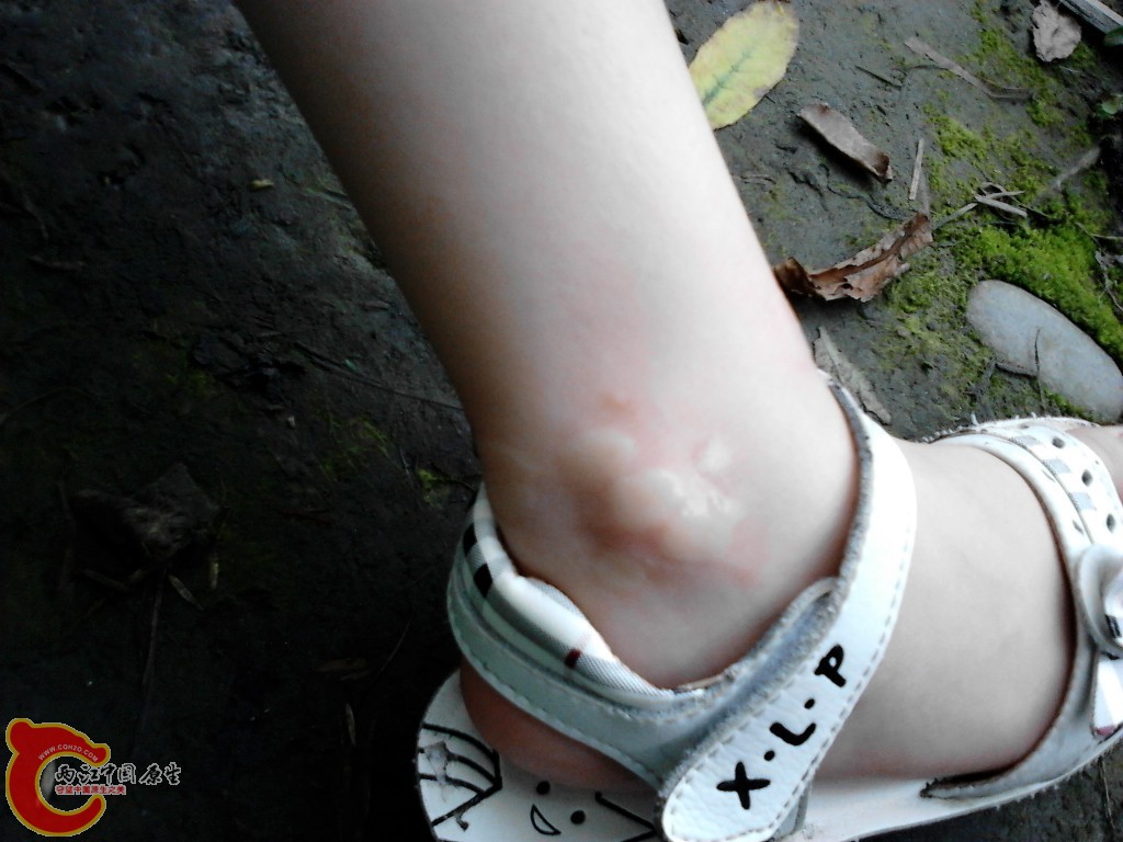 IMG_20120526_115452_0.jpg