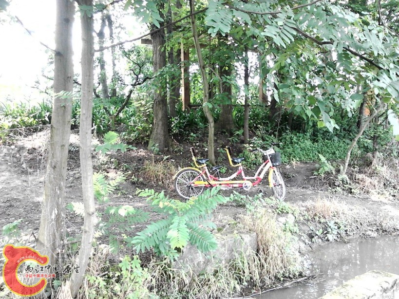 IMG_20120526_115837_0.jpg