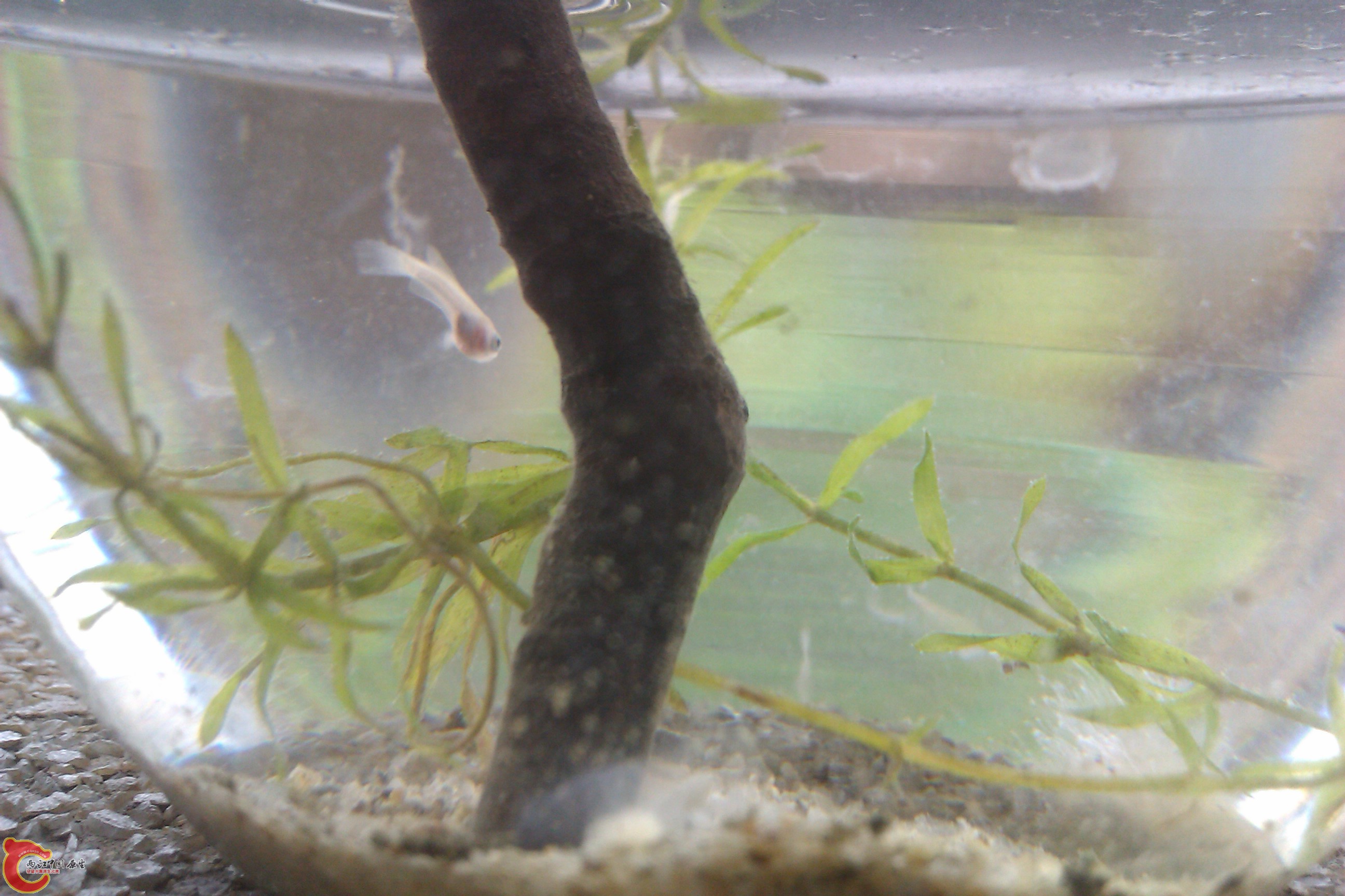 IMAG0448.jpg