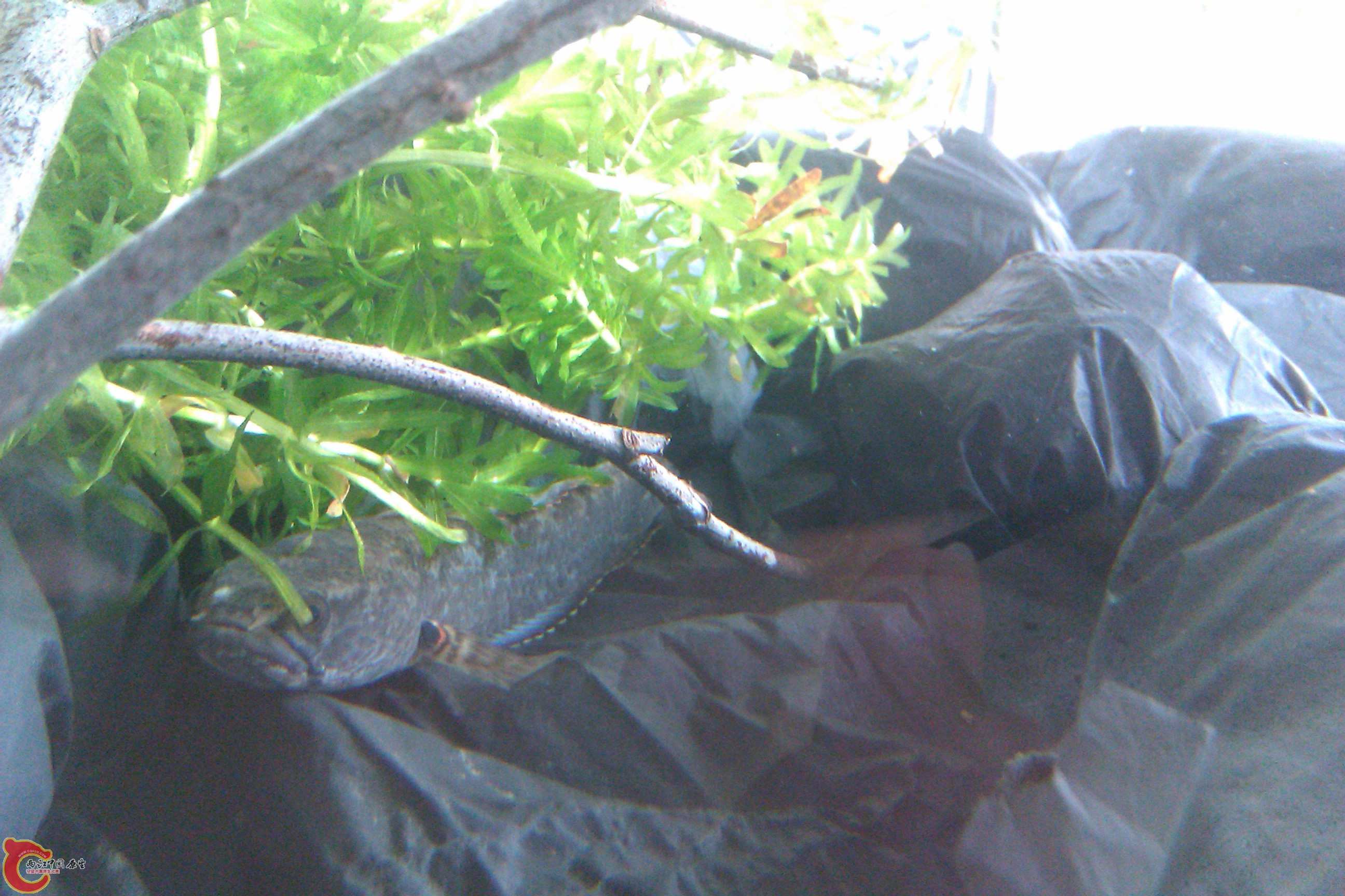 IMAG0457.jpg