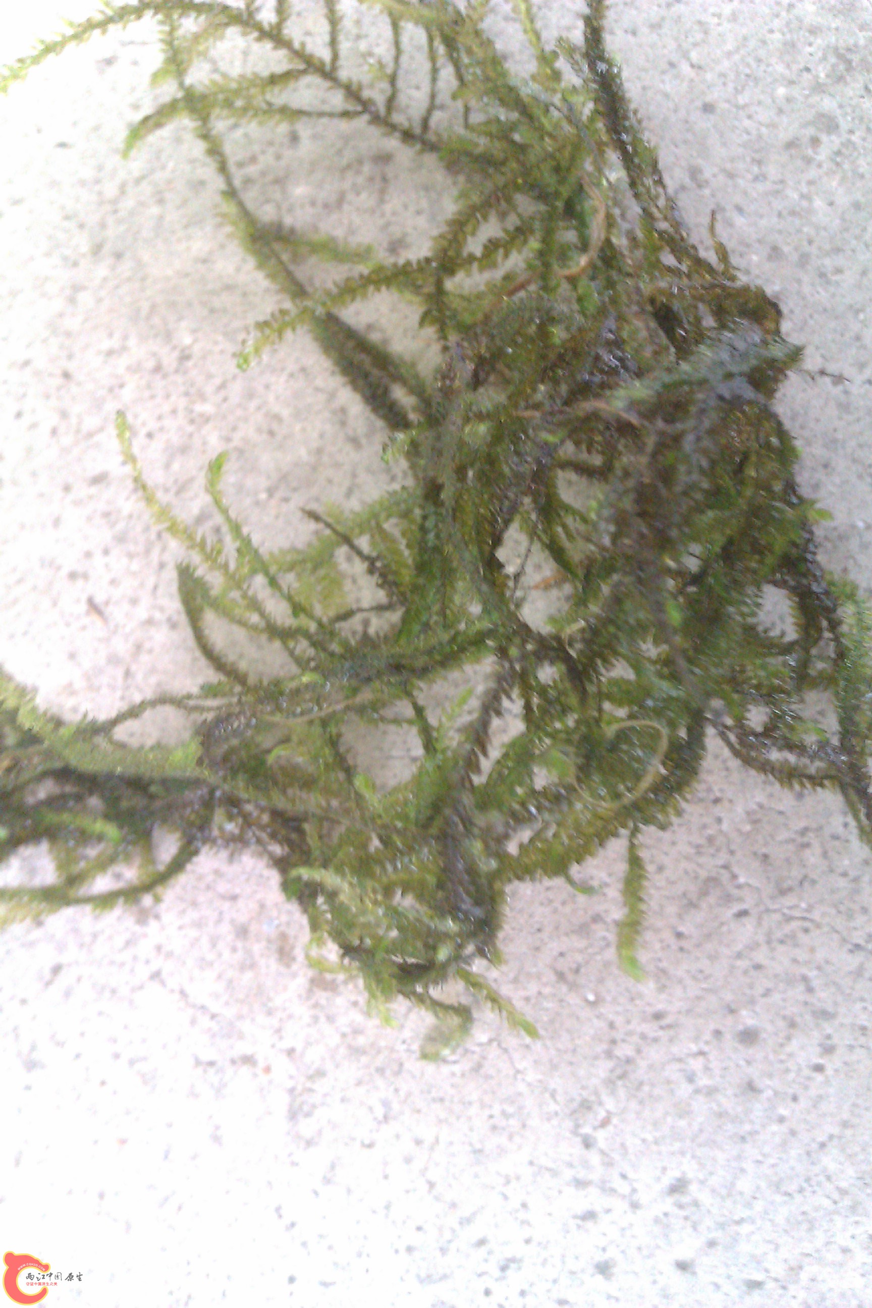 IMAG0458.jpg
