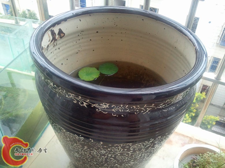 2012-05-27 14.19.55_副本.jpg