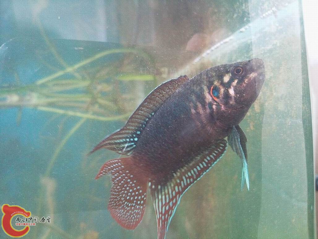 照片2328.jpg