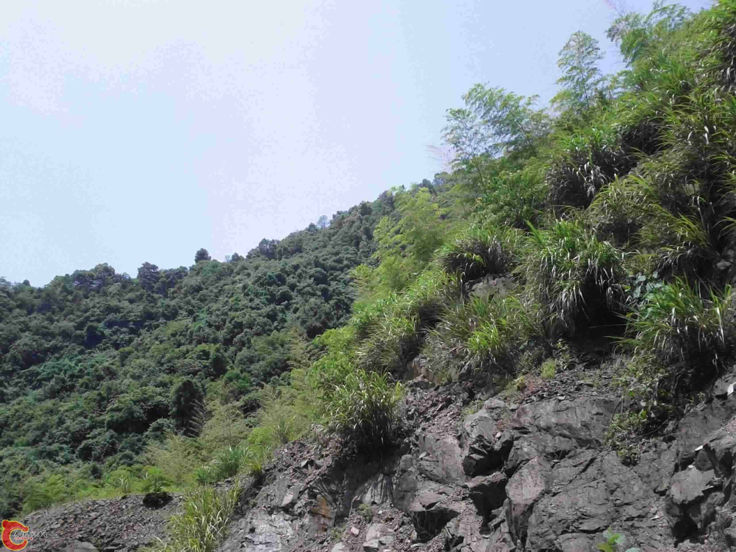IMG_20120527_124647.jpg