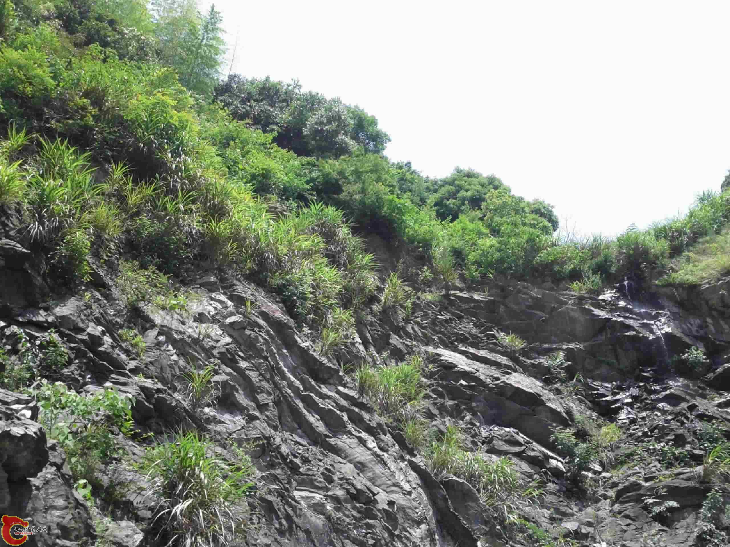唯一的山溪，很小