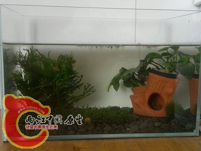 2012-05-28-204.jpg