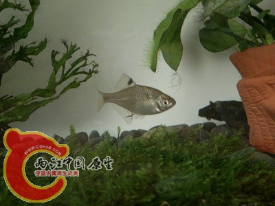 2012-05-28-215.jpg