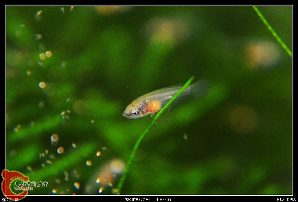 DSC_0735_副本.jpg