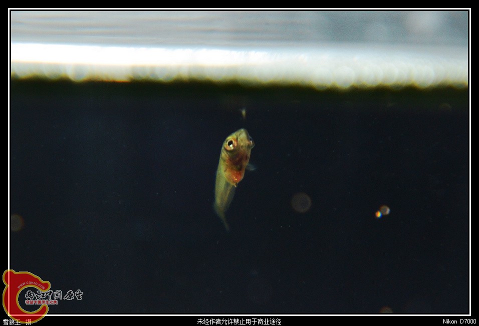 DSC_0739_副本.jpg