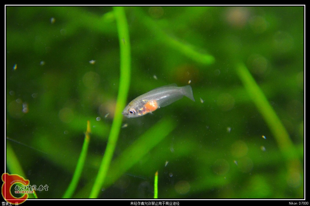 DSC_0744_副本.jpg